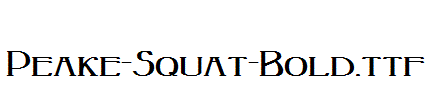 Peake-Squat-Bold.ttf字体下载